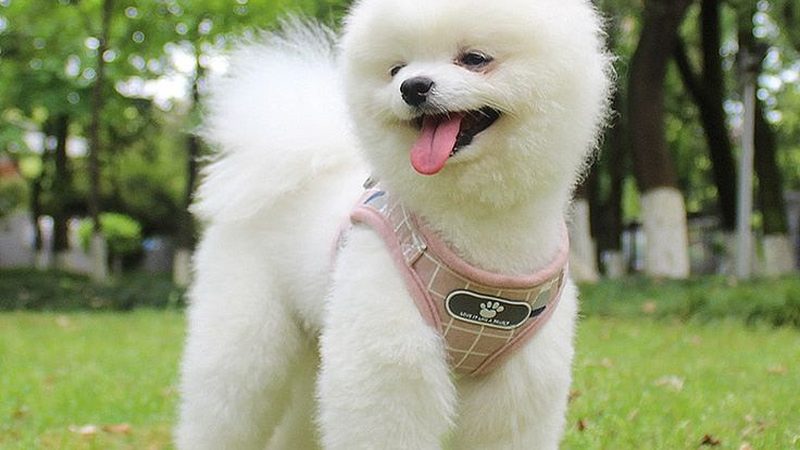 冷库设计安装，如何甄别靠谱厂家？**